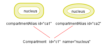 CompartmentAliases of the same Compartment