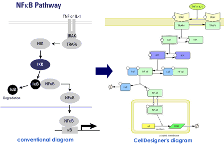 payway diagram comparison