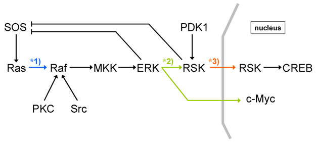 Fig.1