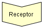 Receptor (CD)