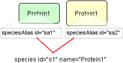 Two aliases of a Species