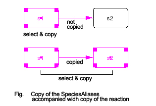 Copy of the SpciesAliases accompanied by the copy of the Reaction